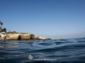 2-25-14-lj-cove-9763